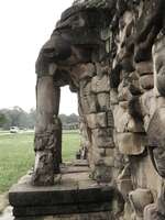 elephant trunks Siem reap, South East Asia, Cambodia, Asia