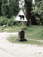 elephant crossing sign Siem Reap, South East Asia, Cambodia, Asia