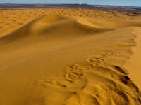 view--sand dune of hat dot net Merzouga, Sahara, Morocco, Africa