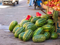 view--watermellons of palais badii Marrakech, Imperial City, Morocco, Africa