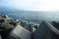 harbour stones 