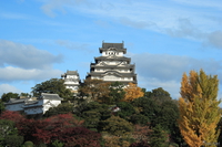 view--himeji castle 