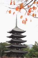 five storied pagoda under the autumn leaves 