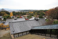 view--nara - stairs from nigatsu-do hall 