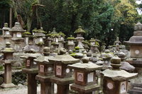 road of stone lanterns 
