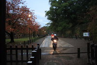 biker in wakyama castle park 