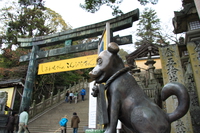 view--puppy of kompira shrine 