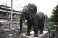 elephant of kompira shrine 