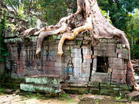 view--preah khan temple Siem Reap, South East Asia, Cambodia, Asia