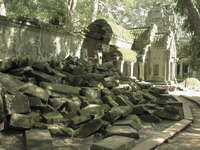 view--ta prohm Siem Reap, South East Asia, Cambodia, Asia