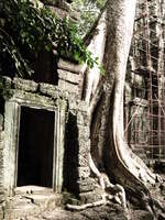 ta prohm doorway Siem Reap, South East Asia, Cambodia, Asia