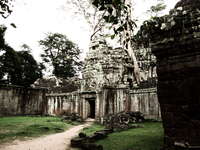 ta prohm temple Siem Reap, South East Asia, Cambodia, Asia