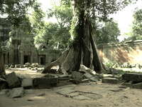 courtyard of ta prohm Siem Reap, South East Asia, Cambodia, Asia
