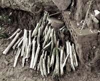 bones beneath killing tree Phnom Penh, South East Asia, Vietnam, Asia