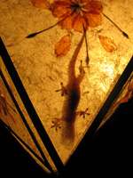 view--gecko lantern Chiangrai, Chiang Khong, South East Asia, Thailand, Laos, Asia
