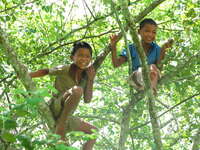 tree boys Pakbeng, South East Asia, Laos, Asia