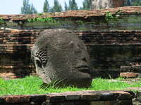fallen buddha head of wat maha that Ayutthaya, Central Thailand, Thailand, Asia