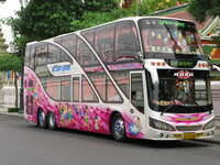 transport--pink bangkok bus Bangkok, South East Asia, Thailand, Asia