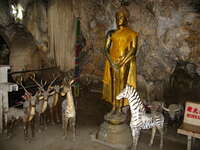 buddha and zebras Kanchanaburi, South East Asia, Thailand, Asia