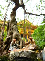 philosophy tree Hanoi, South East Asia, Vietnam, Asia