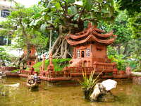 boatman tree Hanoi, South East Asia, Vietnam, Asia