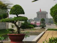 ho chi minh bonsai Hanoi, South East Asia, Vietnam, Asia