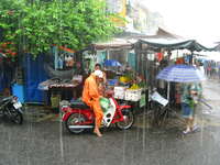 tropical fruit in rainy days Hoi An, South East Asia, Vietnam, Asia