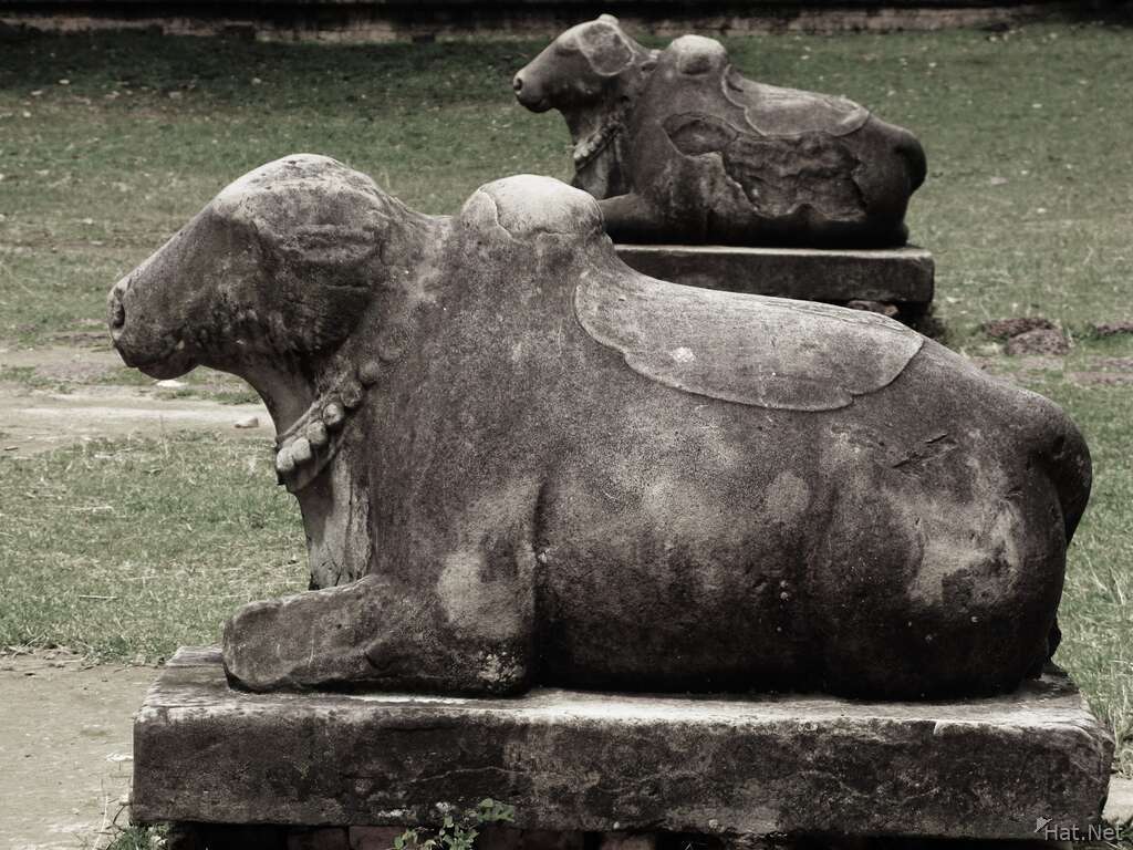 nandi - bull of shiva