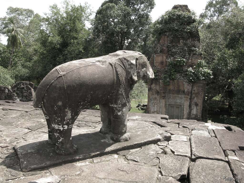bakong elephant