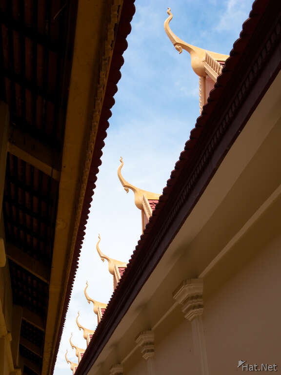 view--palace roof