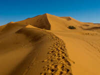 view--erg chebbi Merzouga, Sahara, Morocco, Africa