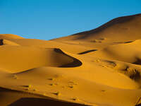 view--desert morning Merzouga, Sahara, Morocco, Africa
