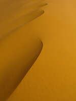 view--dune wave Merzouga, Sahara, Morocco, Africa