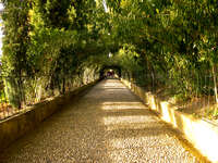 view--memory lane Granada, Andalucia, Spain, Europe