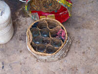berber tea glasses Boumalne, Dades Valley, Morocco, Africa
