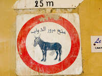 fez medina donkey sign Fez, Imperial City, Morocco, Africa