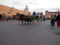 20101014173914_horse_cart_in_marrakech