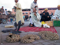 20101014174515_snake_charmers_in_marrakech