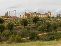 volubilis ruins Meknes, Moulay Idriss, Imperial City, Morocco, Africa
