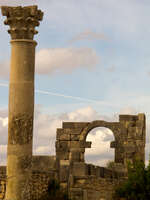 volubilis column Meknes, Moulay Idriss, Imperial City, Morocco, Africa