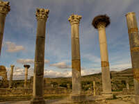 volubilis roman columns Meknes, Moulay Idriss, Imperial City, Morocco, Africa