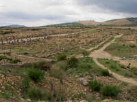 volubilis overview Meknes, Moulay Idriss, Imperial City, Morocco, Africa