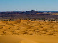 east of sand dune Merzouga, Sahara, Morocco, Africa