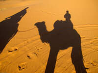 shadow of camel riders Merzouga, Sahara, Morocco, Africa
