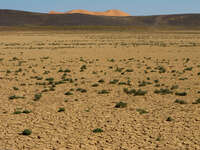 sand dune and merzouga lake Merzouga, Sahara, Morocco, Africa