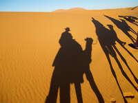 shadows of camel riders Merzouga, Sahara, Morocco, Africa