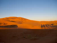 desert dune Merzouga, Sahara, Morocco, Africa