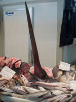 sword fish in cadiz market Cadiz, Seville, Andalucia, Spain, Europe