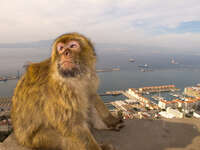 dana sister Gibraltar, Algeciras, Cadiz, Andalucia, Spain, Europe