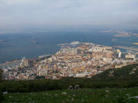 gibraltar city Gibraltar, Algeciras, Cadiz, Andalucia, Spain, Europe